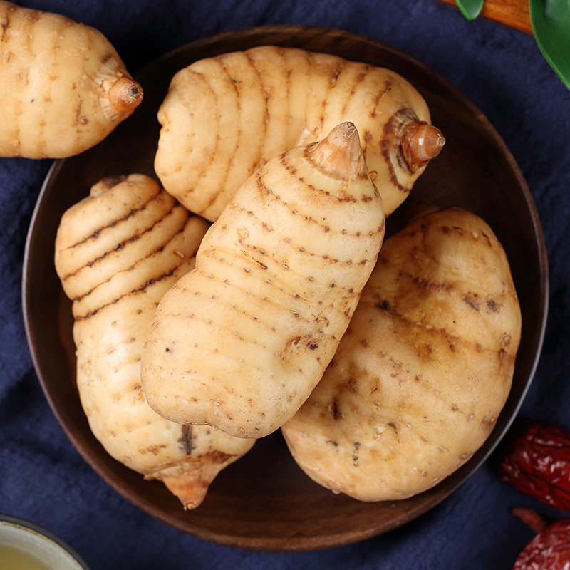 天麻正品昭通小草新鲜云南土特产现挖野生炖鸡天麻