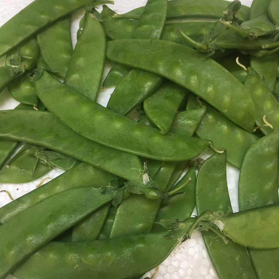 远东春生生鲜新鲜蔬菜荷兰豆夹豆一斤其它