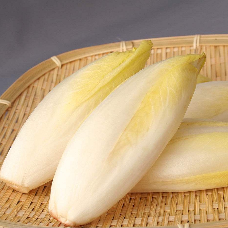 远东春生生鲜新鲜蔬菜玉兰软化菊苣京津冀68包邮叶菜类