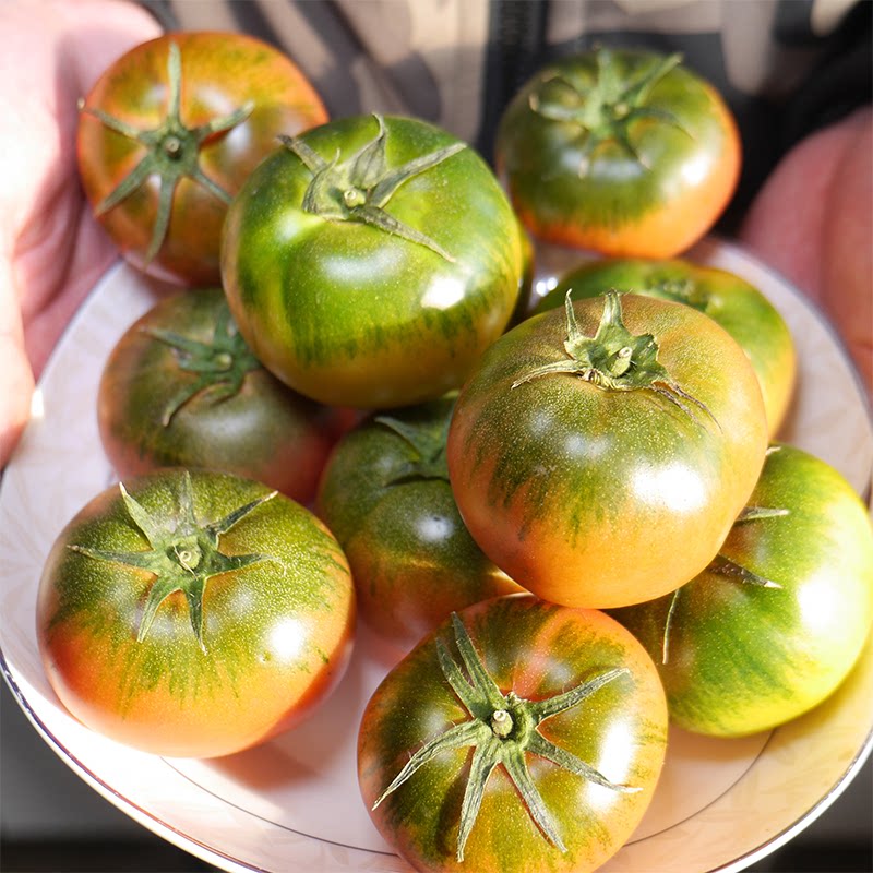 首页 痛风淘宝      丹东草莓柿子铁皮柿子碱地番茄绿腚鹰爪西红柿油