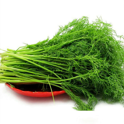 一份带箱4斤新鲜蔬菜新鲜露天茴香菜