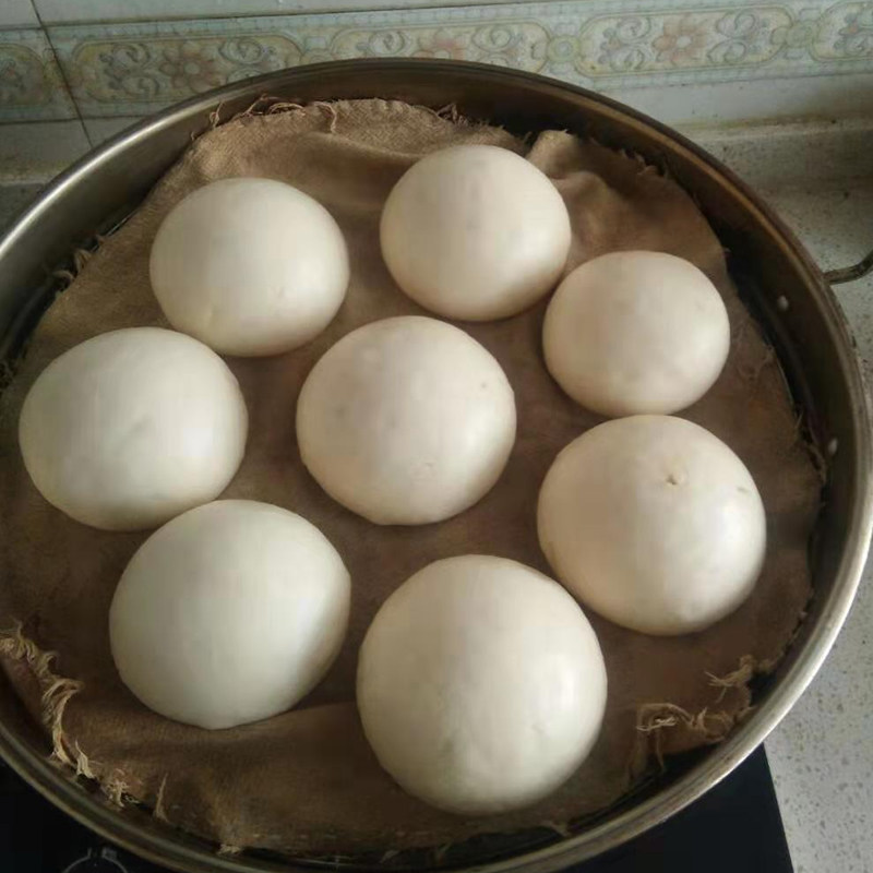 引子老面面瓜曲头酵发面天然酵母馒头包子发酵面粉