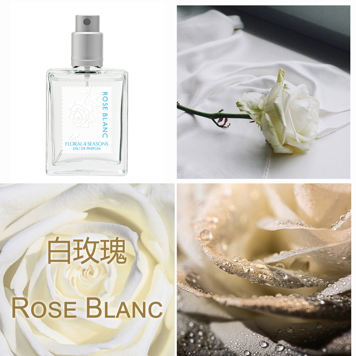 桂花香试香铃兰腊梅白梅小样香水桂花特惠武藏香水