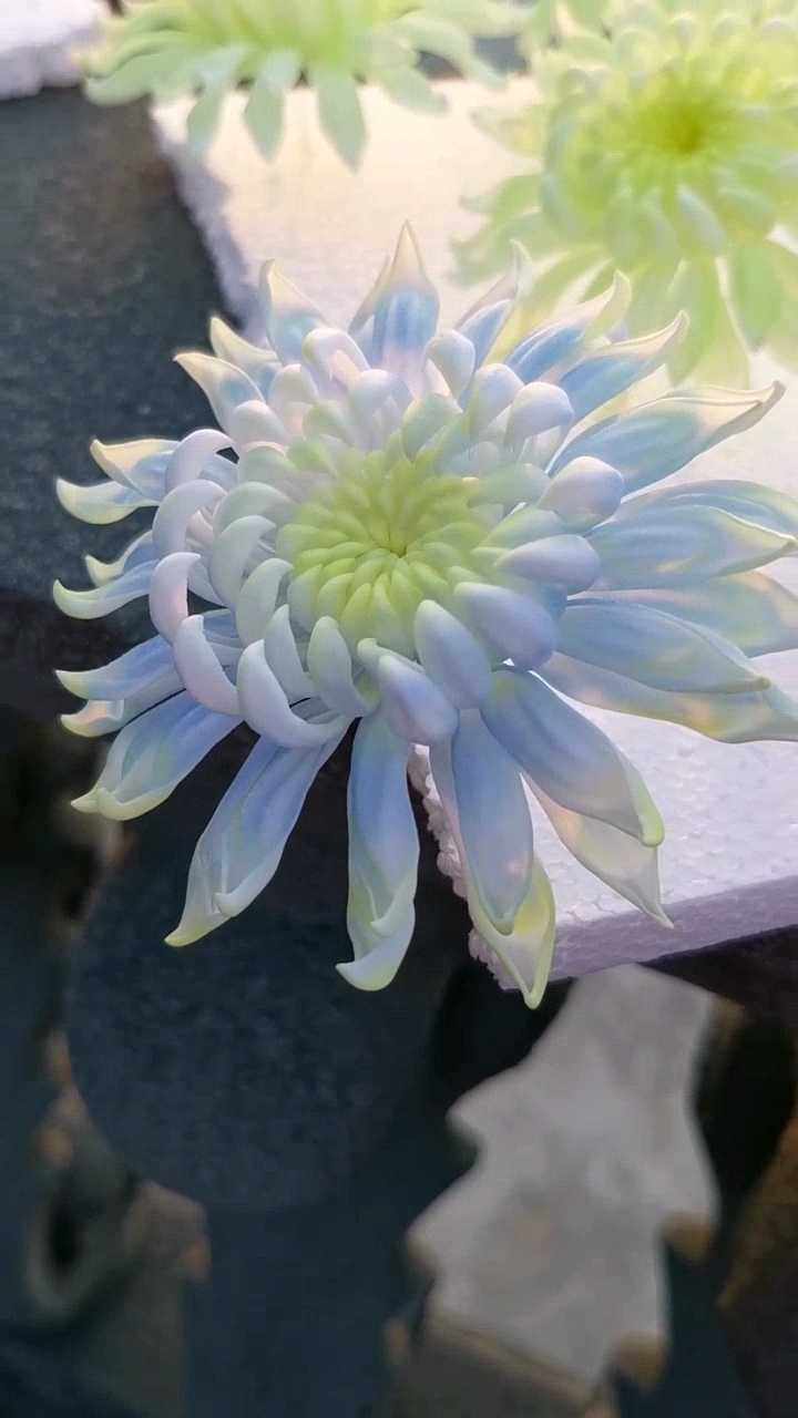 珠珠通草扬州非遗通草花菊花发簪汉服配饰头饰其他diy饰品配件