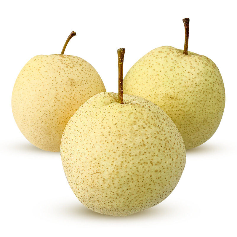 新鲜当季水果陕西蒲城酥梨5斤装