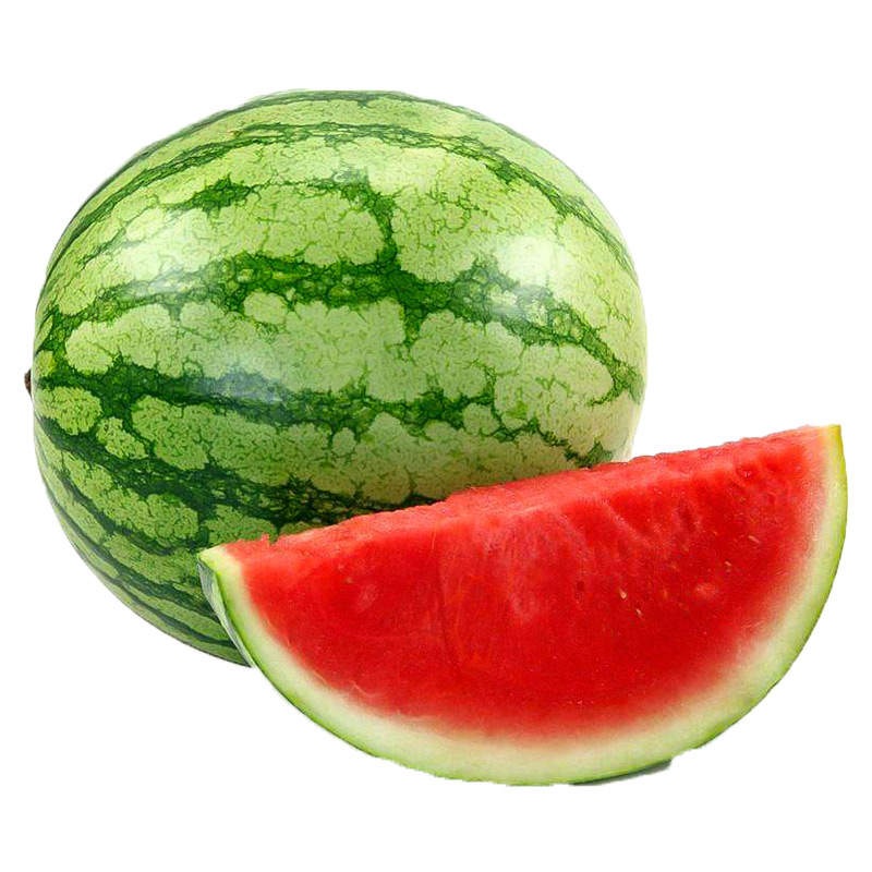 红妃无籽西瓜种子南方盆栽大西瓜种籽特大巨型超大家庭园艺种子
