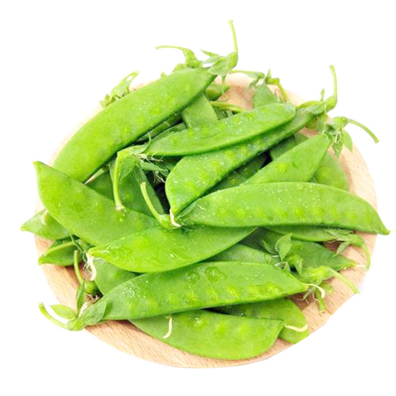 大荚荷兰豆种子种籽春天豌豆苗豆角阳台四季菜蔬菜豌豆尖孑蔬莱籽