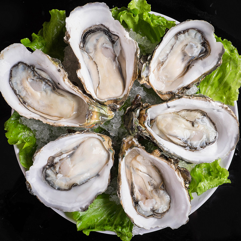 好客带壳牡蛎新鲜10斤山海山东产乳水产海鲜生蚝