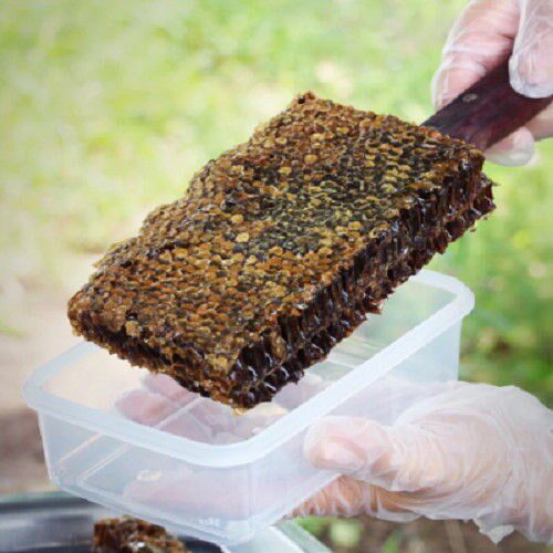 老巢蜜老蜂巢蜜成熟蜂蜜500克一斤包邮黑巢蜜老蜂巢蜜