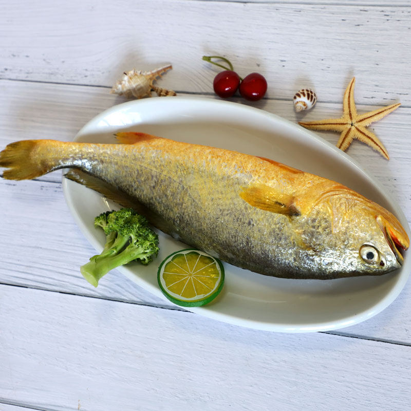 黄鱼鲜活深海黄花鱼新鲜大黄鱼海鲜水产东海113斤黄鱼