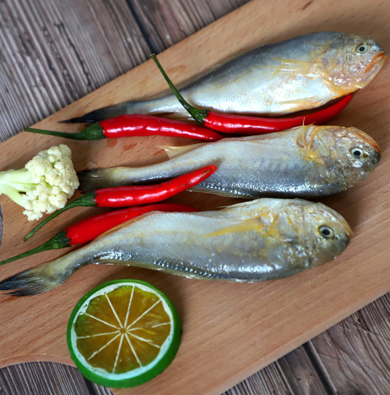 新鲜特大梅童鱼黄花鱼新鲜黄鱼类生鲜梅鱼海鱼海鲜水产鲜活