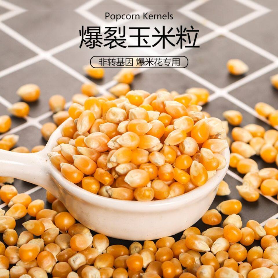 玉米粒爆米花爆裂专用自做家用蝶形小玉米玉米