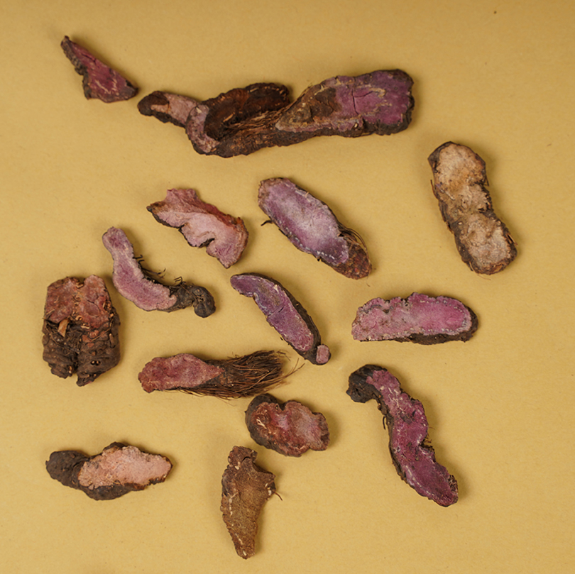 中药材草血500g野生草河一口拳参土血紫参新货其他药食同源食品