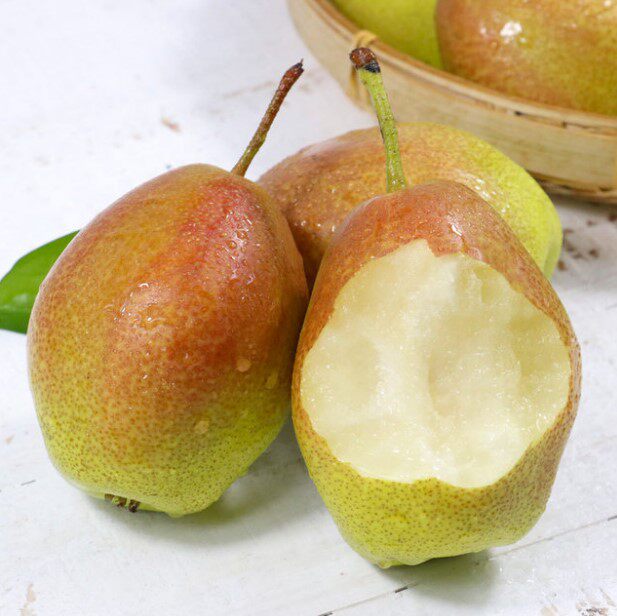 红香酥梨脆甜梨子现摘新鲜甜梨时令水果整箱梨