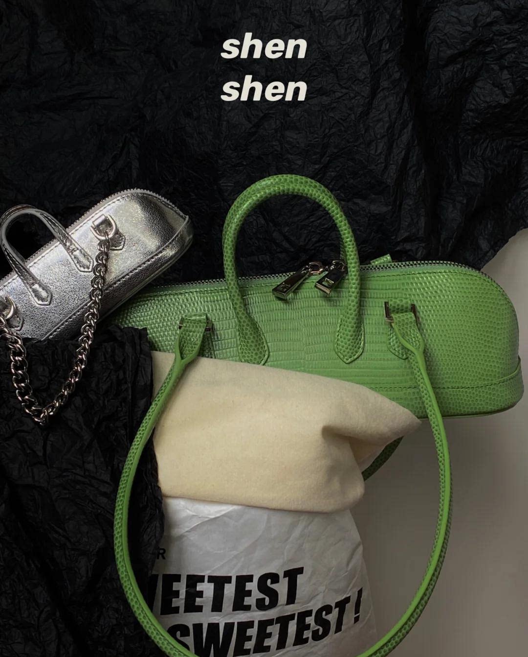 腋下手提小众shenshen单肩包单肩2022新款蜥蜴包蜥蜴通用款女包