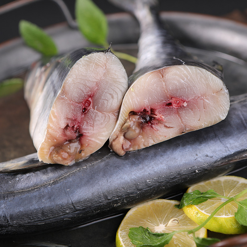 大连野生鲅鱼新鲜冷冻鲜活马鲛鱼冷冻野生深海鱼燕鲅水饺馅整条