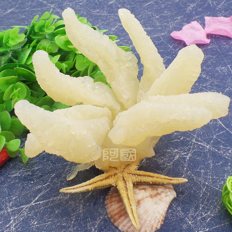 海蜇手指八爪500g八角角头鸡爪鸡脚野生海哲头海蜇