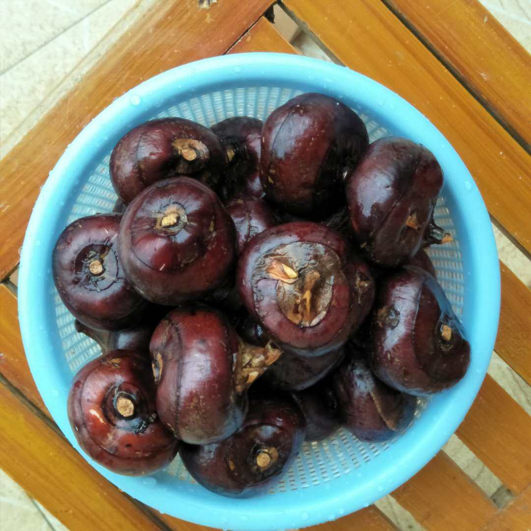 10斤中果马蹄即食乐昌荸荠现挖产地特产食用荸荠