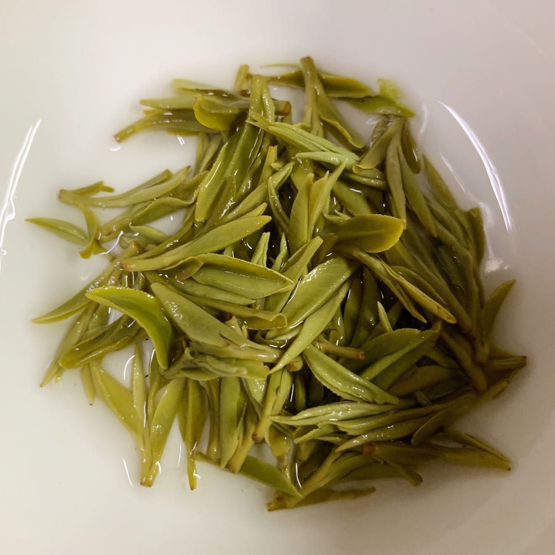 高山莫干黄芽2020新茶上市前头嫩芽散装黄茶代用