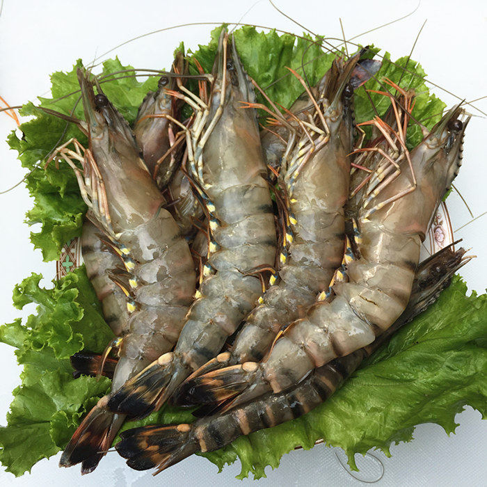 黑虎虾鲜活海鲜竹节虾超大斑节虾特大明虾野生海虾水产包邮老虎虾