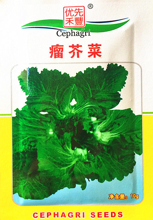 蔬菜种子瘤芥菜种瘤菜脆嫩鲜食腌制特色家庭园艺种子