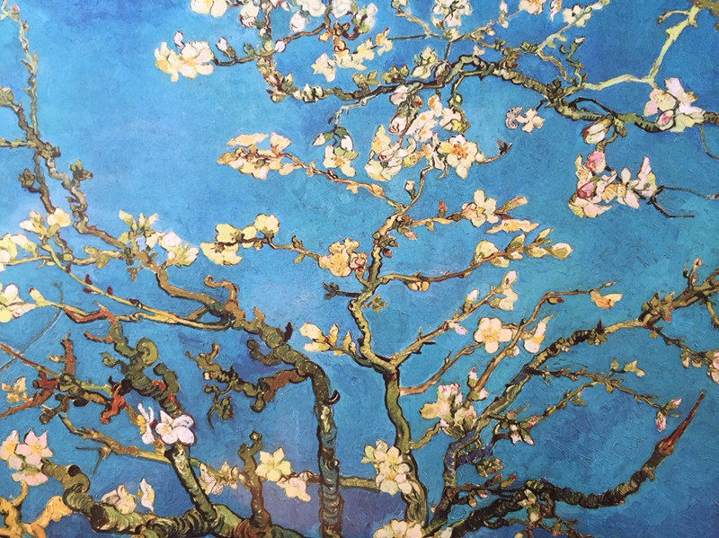 现货ricordi盛开开的杏树巴旦梵高1000片拼图