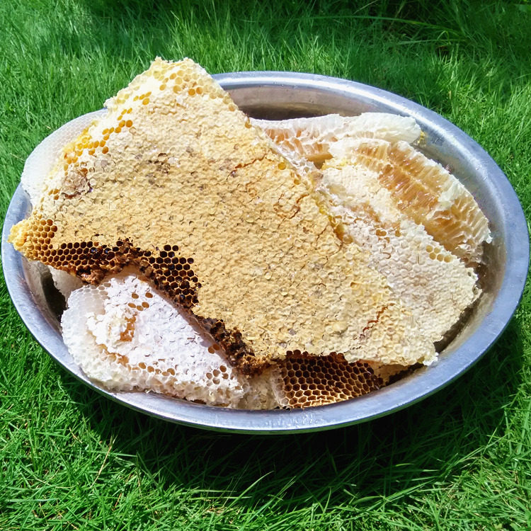 蜂巢蜜野生纯正蜜巢天然农家自产成熟土蜂蜜嚼着吃老巢蜜500g