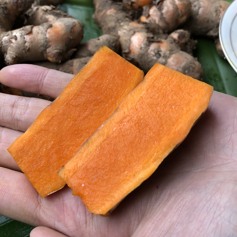 黄姜越南小指红姜月子姜月子cu新鲜nghe小黄生姜