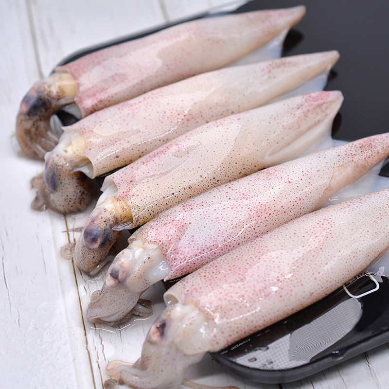 籽乌新鲜笔管鱼海兔子满籽鲜活水产冷冻小墨鱼冷冻墨鱼