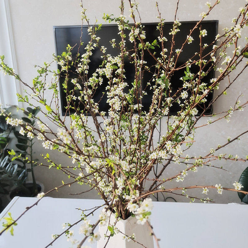 雪柳干支插花鲜花雪花珍珠重瓣桃花遇水开花时令草本花卉