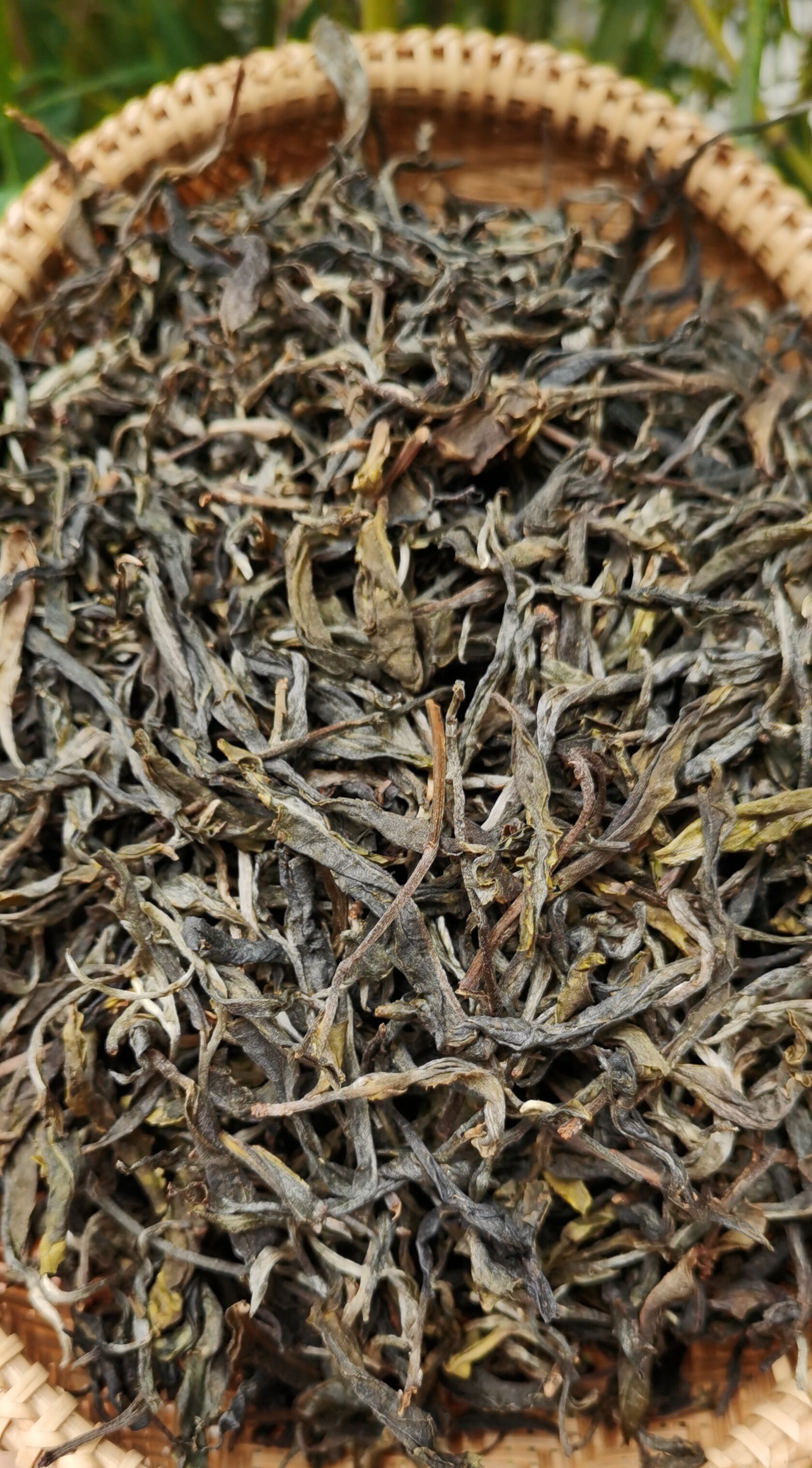 散茶普洱茶生茶2021年困鹿山古树春茶500克普洱