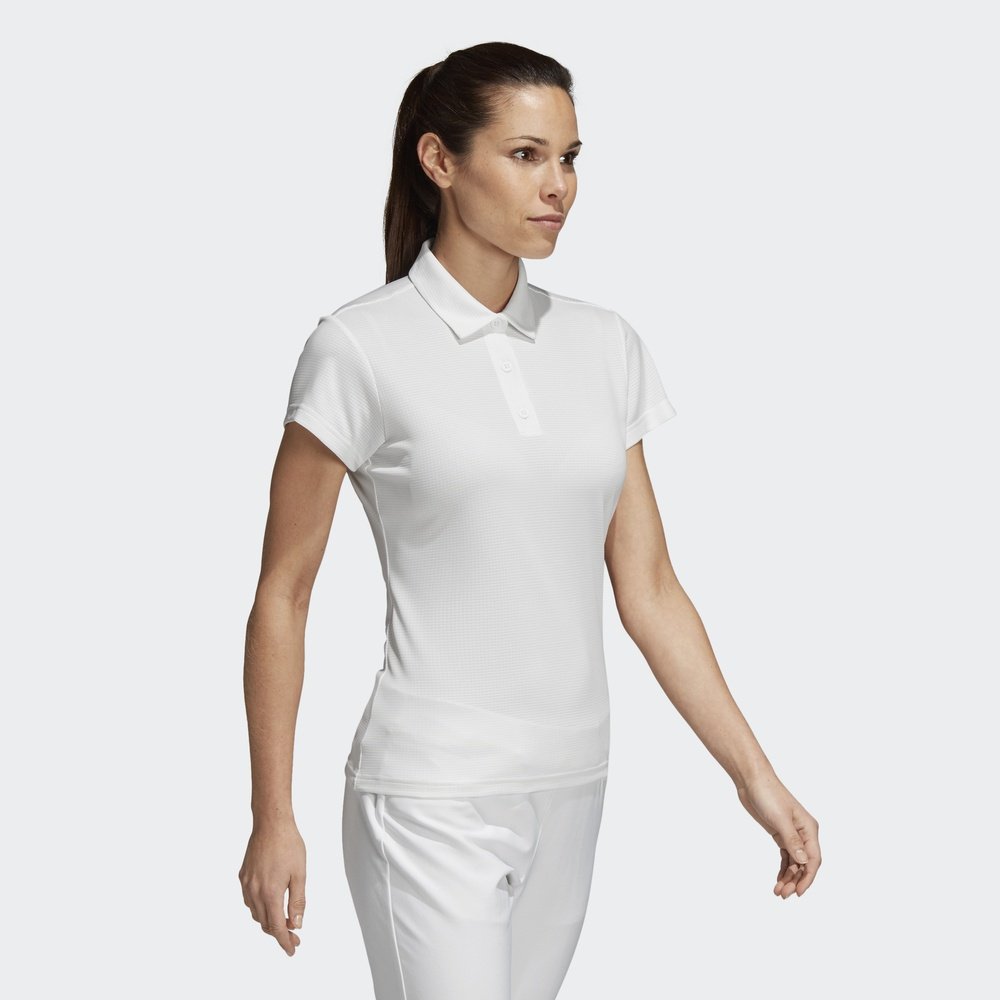 李宁短袖polo衫女士新款训练休闲女装上衣运动服apln146