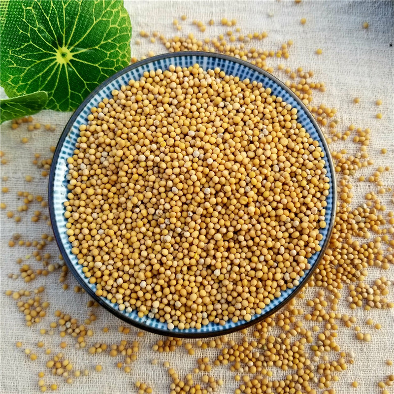 中药材 白芥子500g 生白芥子 白介子粉 正品 野生 另有炒白芥子