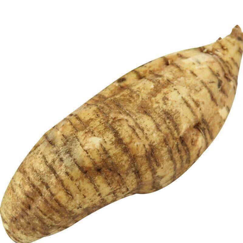 新鲜葛根现挖现发广西大山葛薯无渣粉葛野生其它