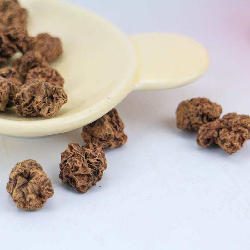 虫瘿玩具木天爱吃零食磨牙新鲜猫薄荷果猫变异猫零食罐