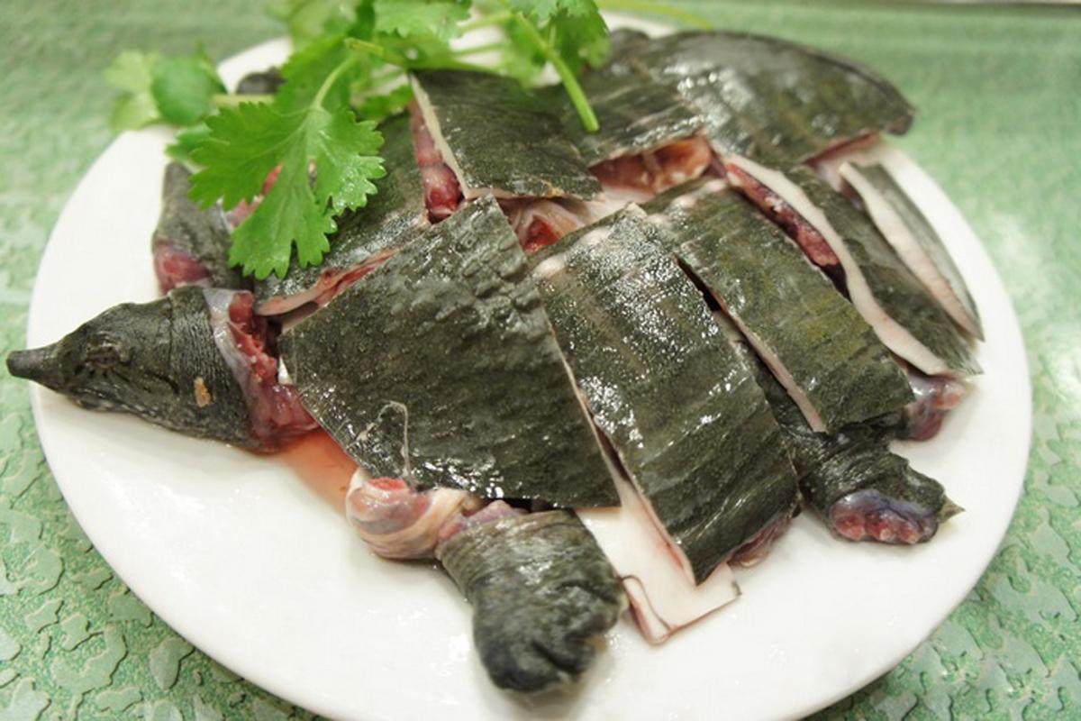 现杀代真空包鱼杀鳖团王八外塘包装真空2斤肉即甲鱼