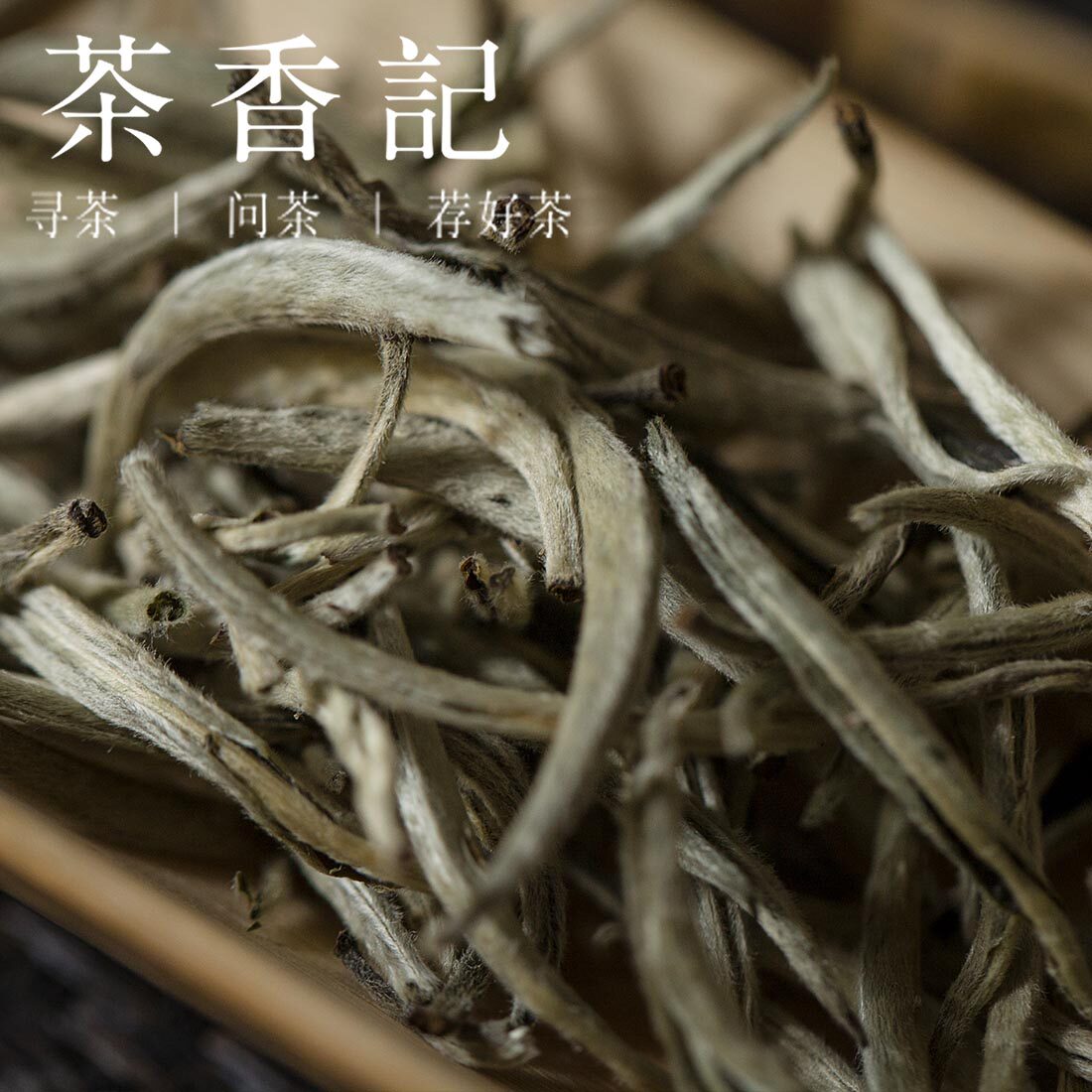 茶香记困鹿山银针2020年整箱花蜜香毫香清甜耐泡云南白茶