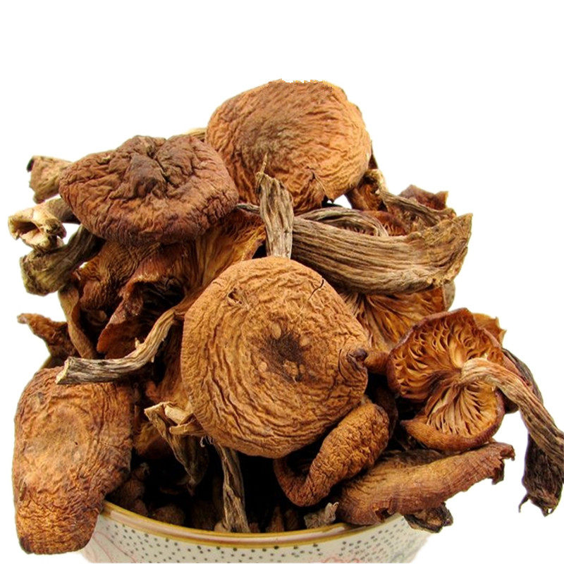 新货东北特产野生榛蘑菇小鸡炖蘑菇无根干货香菇类榛蘑丁500g包邮