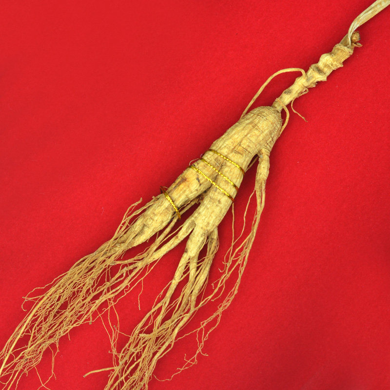 阳亿15克移山参礼盒 15年长白山林下参东北特产吉林人参野山参