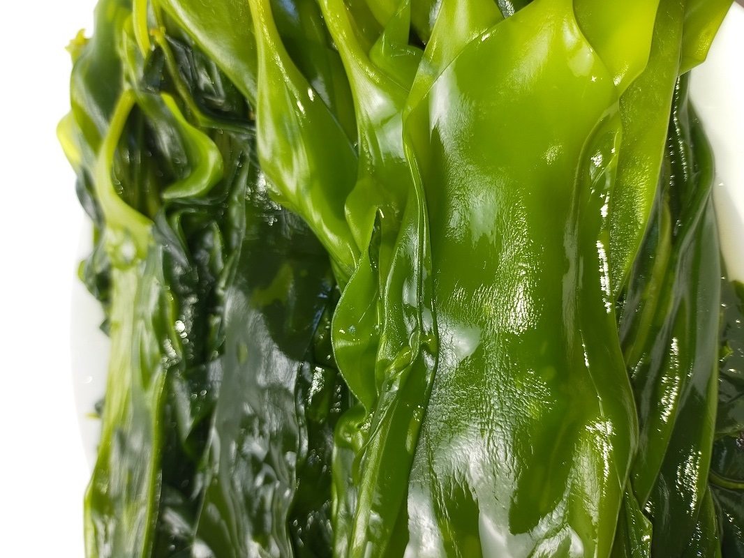 海带2022鲜嫩半干盐渍凉拌火锅海藻霞浦布海藻海带