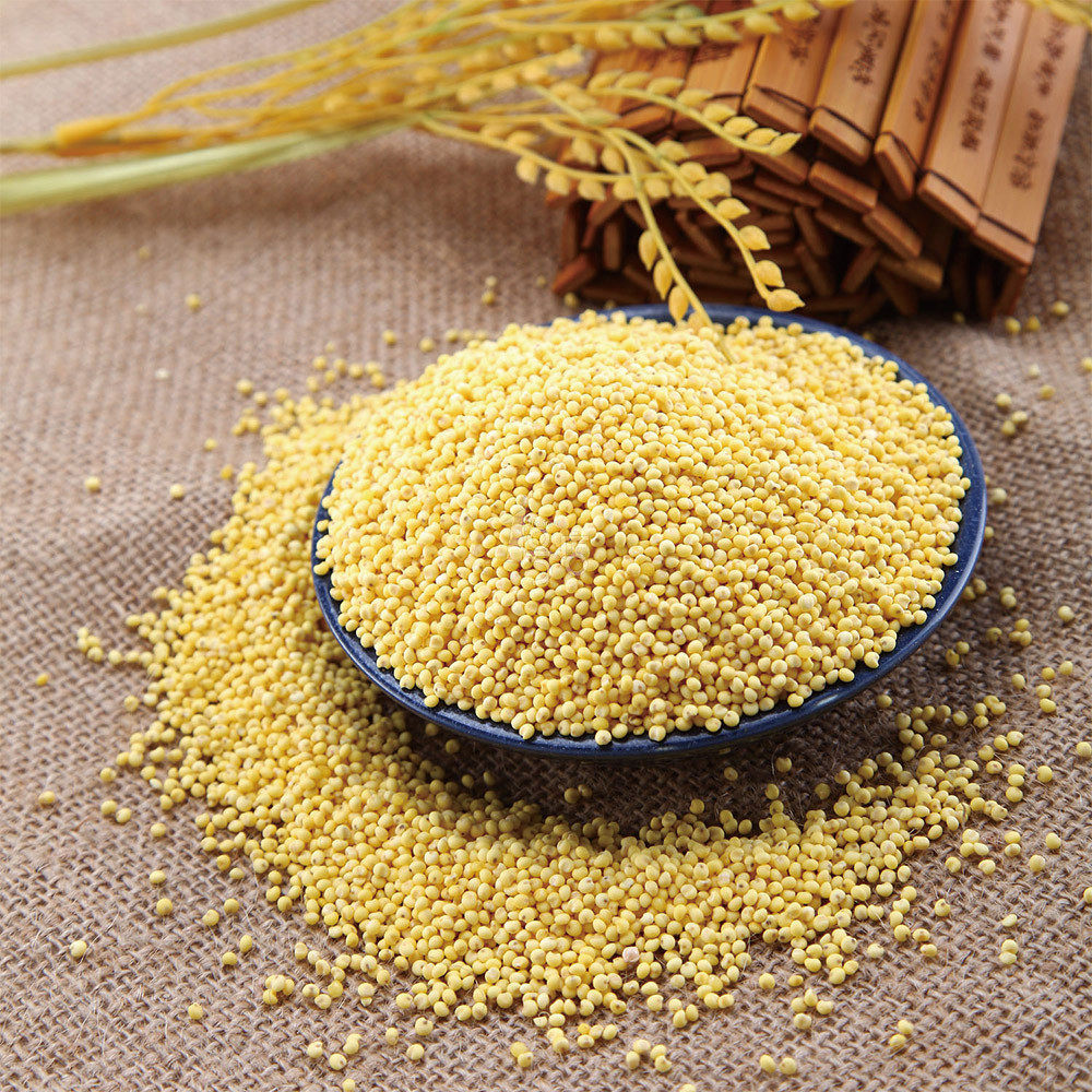 大黄米 黏黄米 糯小米粘黄米 农家自产黍米 杂粮米 散装500g新米