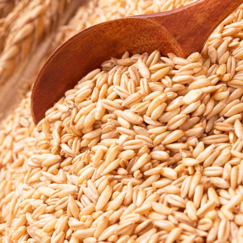 农家燕麦米燕麦仁杂粮全谷物雀麦粒粗粮米去皮燕麦5斤
