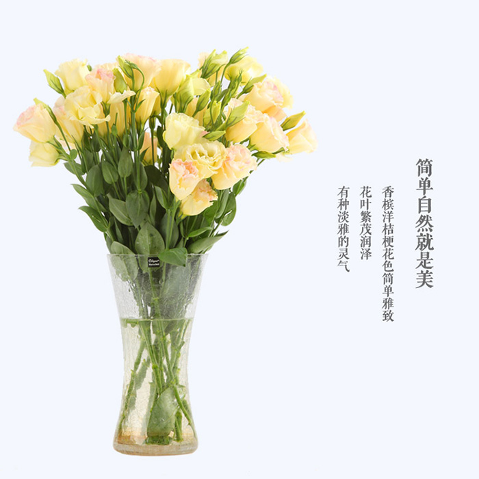 云南昆明多色洋桔梗鲜切花速速递家庭花瓶插花鲜花速递同城