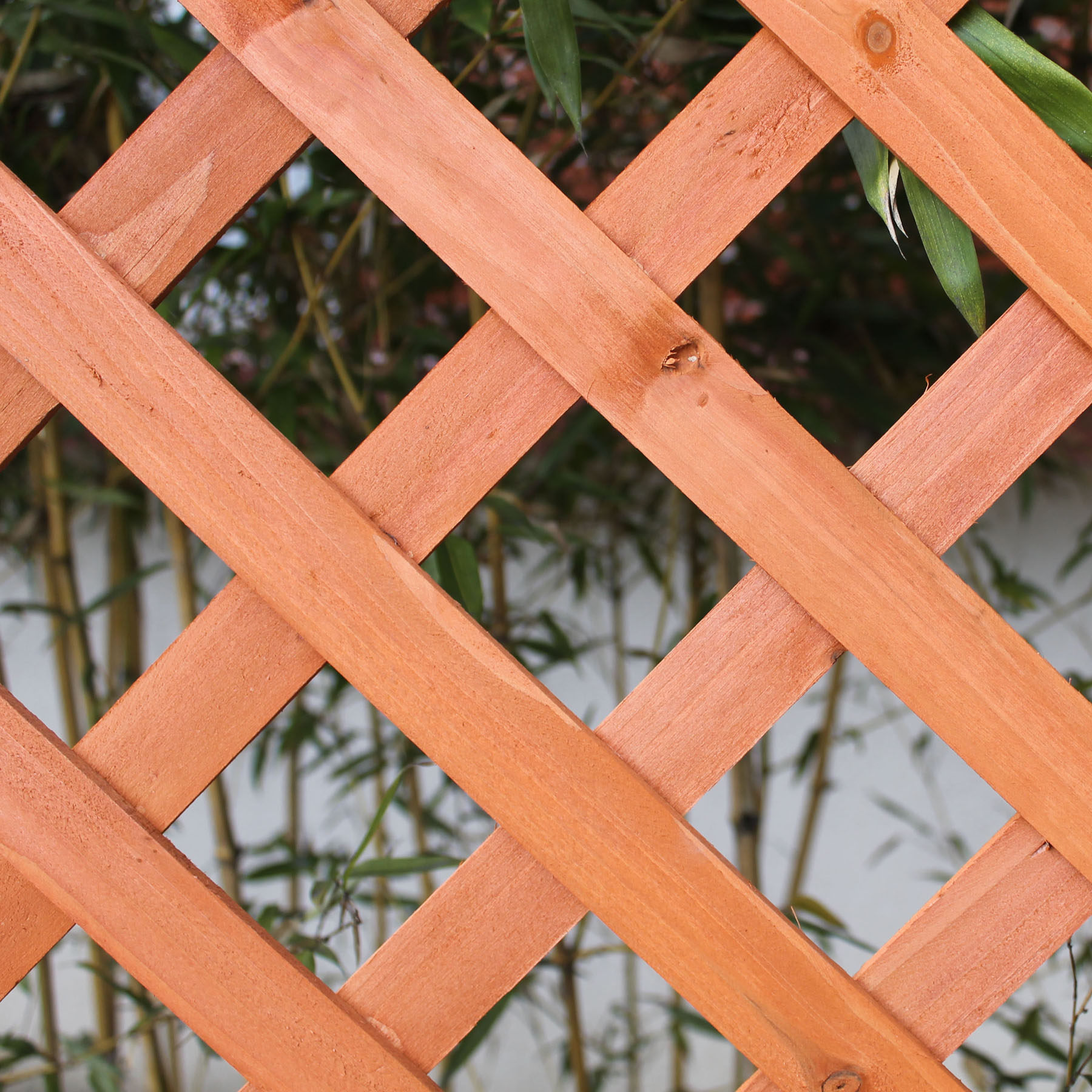 碳化木屏风弧形半圆栅栏网格花架网片爬藤花架木篱笆围栏护栏隔断