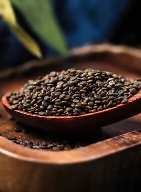 沙苑子泡水泡茶500g男性野生茶蒺藜