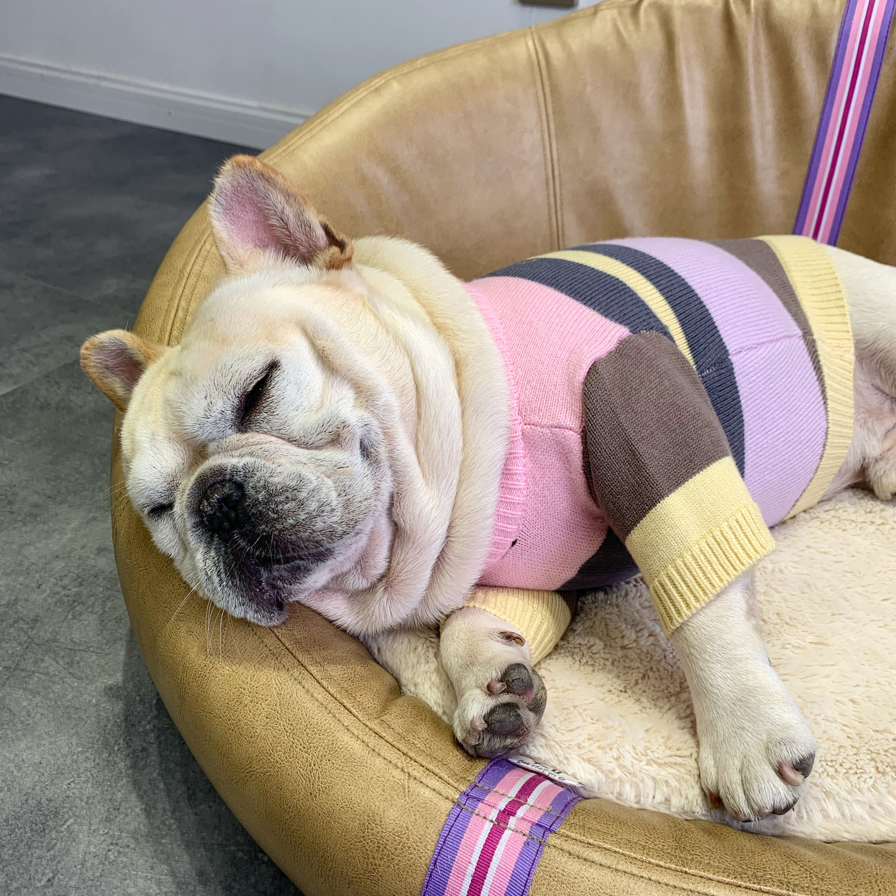 法国斗牛犬针织衫秋冬宠物宠物狗狗狗毛衣泰迪八巴宠物服装