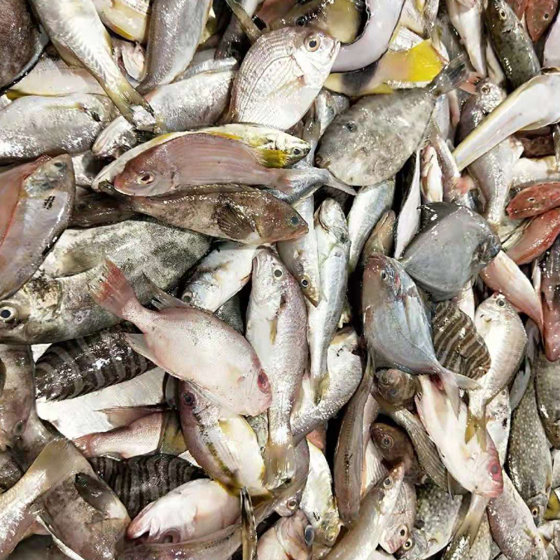 杂鱼东山岛海鲜深海天然生猛混合大小450g2黄鱼