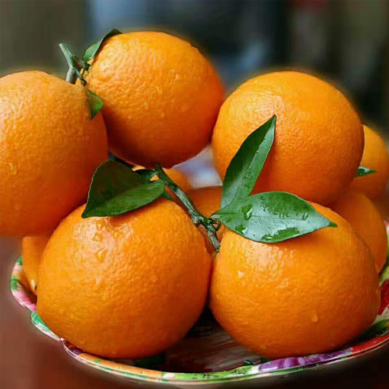 正宗江西赣南脐橙橙子新鲜水果当季现摘手甜橙橙