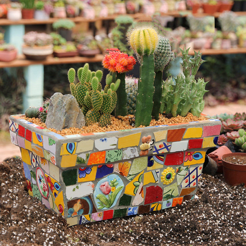 特色田园陶瓷马赛克长方形多肉老桩花盆肉肉盆 - 玫瑰小镇庭院生活