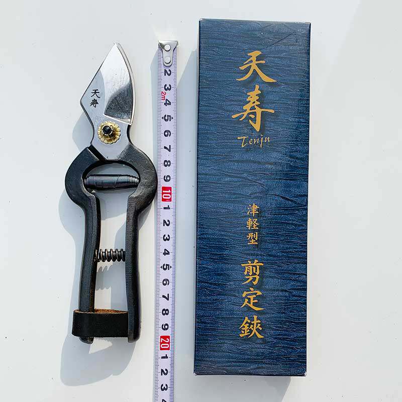花小白日本进口天寿津轻型修枝剪家用果树盆景月季绣球修剪工具